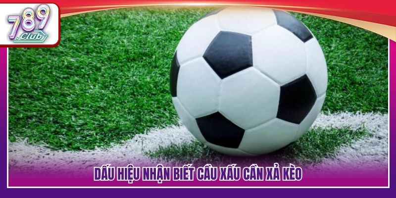 Những biểu hiện cho thấy kèo đang xấu 