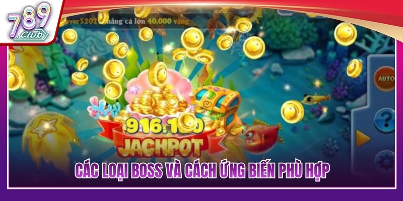 Phân loại các dòng boss và chiến lược xử lý 